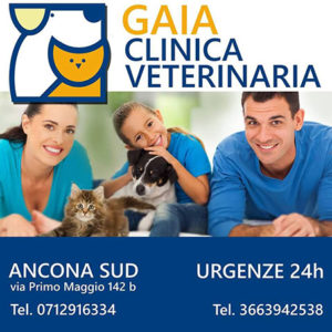 Clinica Veterinaria Gaia Ancona Sud